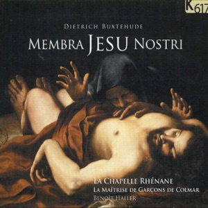 Membra Jesu nostri, BuxWV 75: Ad manus 