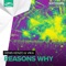 Reasons Why (Extended Mix) artwork