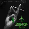 Stream & download Chartered Flight - Single