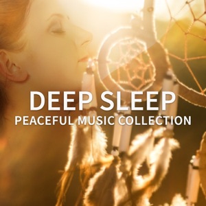 Deep Sleep: Peaceful Music Collection - Calm Nature Sounds for Cure Insomnia, Inner Silent, Sleep Music to Help Your Relax All Night