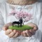 Fairytale (feat. Tina Guo) - David Infante lyrics