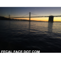 FECAL FACE DOT COM podcast