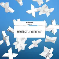 Experience — Memorize