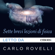 Carlo Rovelli - Sette brevi lezioni di fisica