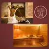 Entspannungsmusik Wellness Club - Wellness Spa Musik