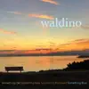 Waldino - Never Say Never