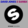 David Jones - E Samba (DJ Kuba & Neitan Remix)