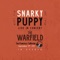 Kite - Snarky Puppy lyrics