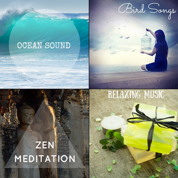 Ocean Sound & Bird Songs - Zen Meditation Relaxing Music (Nature Sounds Edition)
