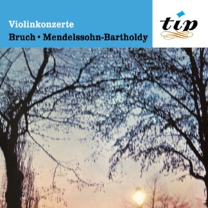 Violinkonzert No. 1 in G Minor, Op. 26: I. Allegro moderato