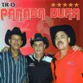 Amor De Novela