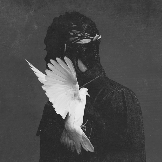 Cover artwork for Untouchable