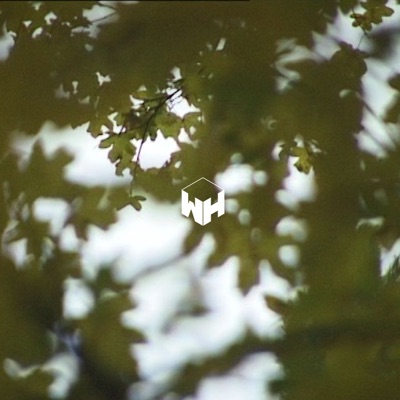 Lapislazuli - Single