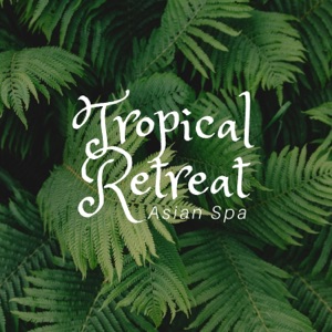 Tropical Retreat: Asian Spa, Free Your Mind, Wellness Atmosphere, Ease Your Body, Music for Massage
