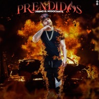 Prendidos - Single - Premo el Negociante