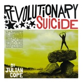 Julian Cope - They Were on Hard Drugs