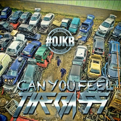 Can You Feel the Bass (Radio Edit) - Single