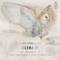 Indecisiones - Ger & Felipe Cobos lyrics