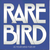 As Your Mind Flies By - Rare Bird