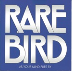 Rare Bird - Flight