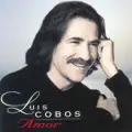 Aria D'Amore