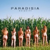 Paradisia