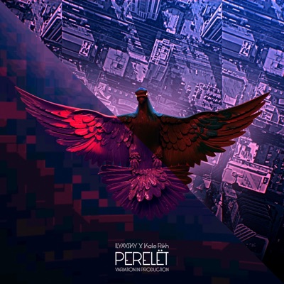 Perelet (feat. Kate Rikh) [VIP] - Single