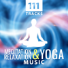 111 Tracks – Meditation, Relaxation & Yoga Music: New Age Sound for Study, Work & Deep Sleep, Chakra Balancing, Healing Massage & Spiritual Journey - Various Artists