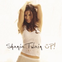 Shania Twain - Ka-ching!