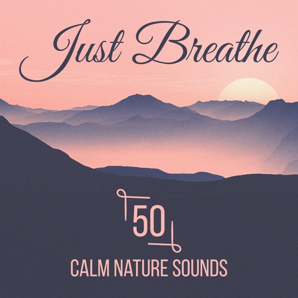 Just Breathe: 50 Calm Nature Sounds for Yoga, Meditation Techniques for Stress Reduction to Soothe Your Spirit & Find Inner Peace of Mind Into Your Life