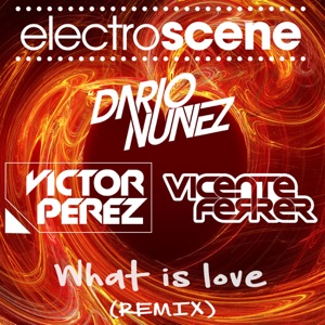 What Is Love (Remix) - Single