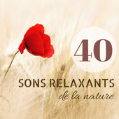 40 sons relaxants de la nature - Musique de fond pour yoga et méditation - Musique d Ambiance Series