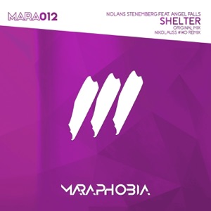 Shelter (feat. Angel Falls) - Single