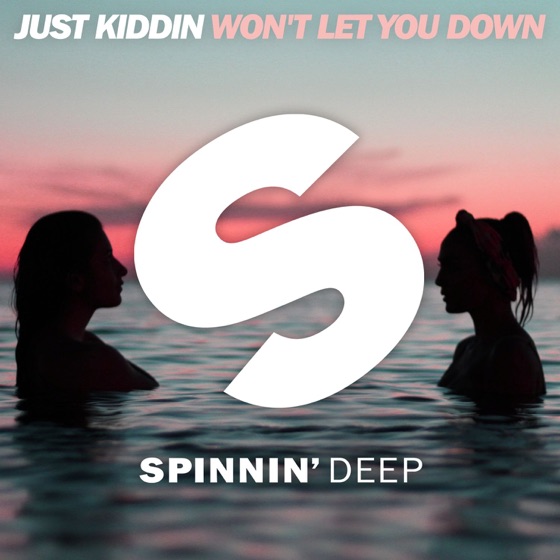 Cover artwork for Won't Let You Down