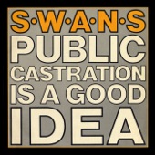 Public Castration Is a Good Idea (Live) artwork