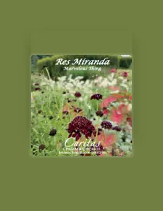 Caritas Chamber Chorale을(를) 듣고, 뮤직 비디오를 보고, 약력을 읽고, 투어 일정 등을 확인하세요!