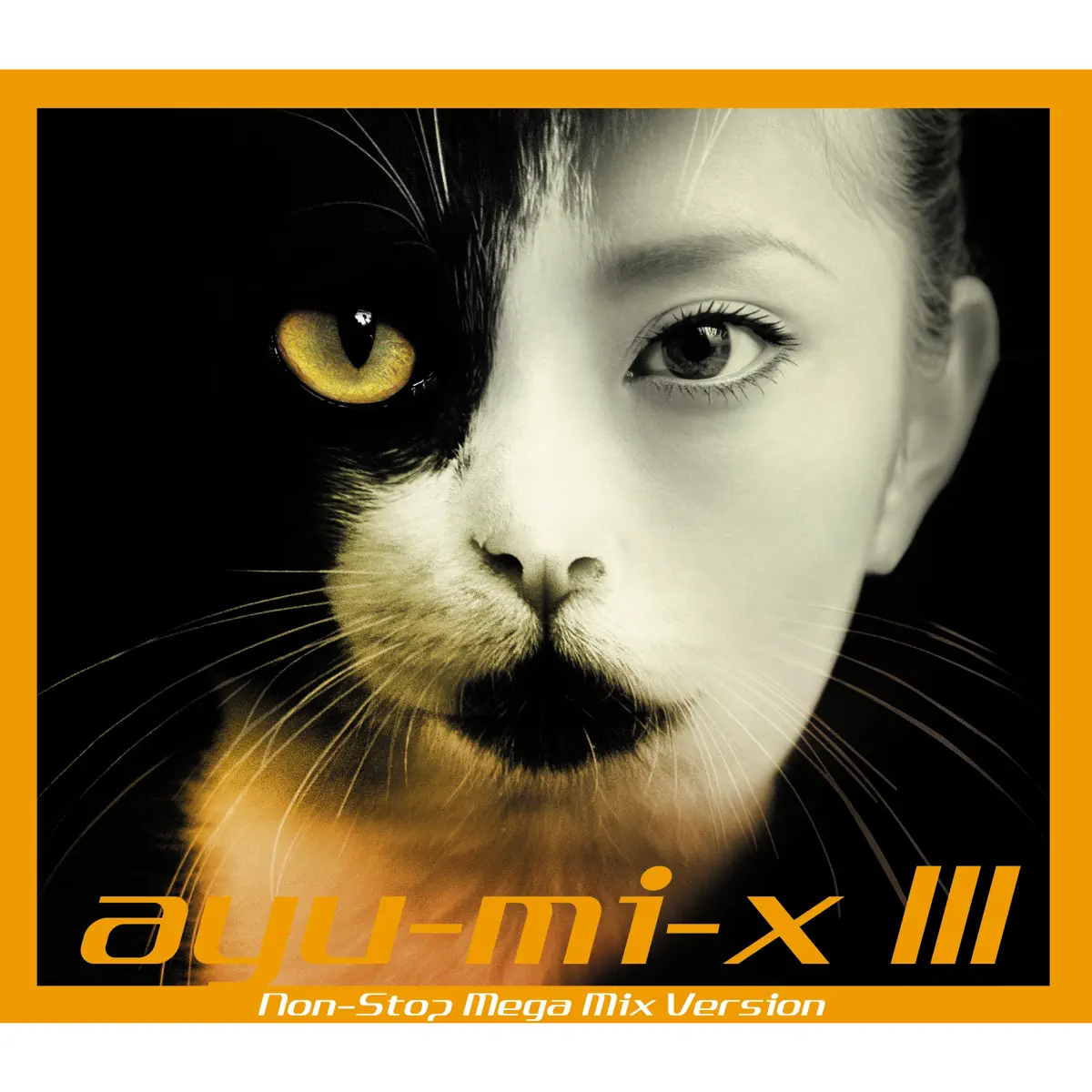 浜崎あゆみ - ayu-mi-x III Non-Stop Mega Mix Version (2001) [iTunes Plus AAC M4A]-新房子