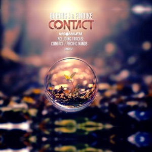 Contact - Single