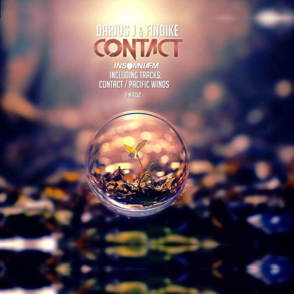 Contact - Single