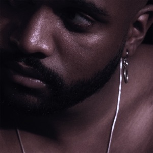 Silk Eternity Mixes - Single