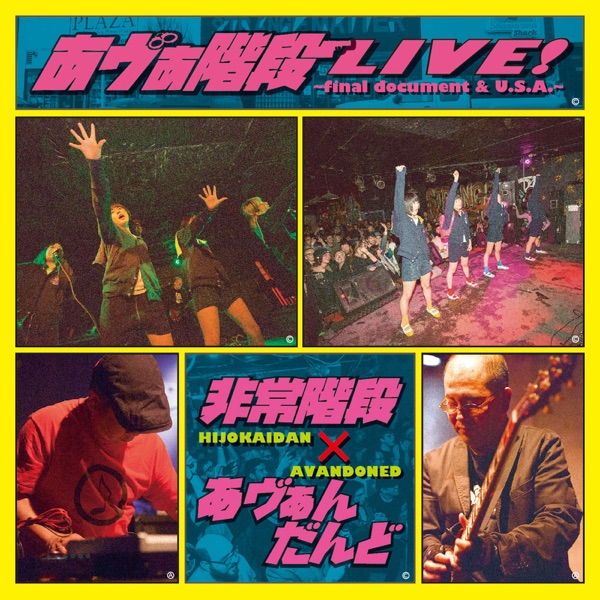 あヴぁ階段LIVE!~final document & U.S.A~