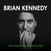 You Raise Me Up - Brian Kennedy