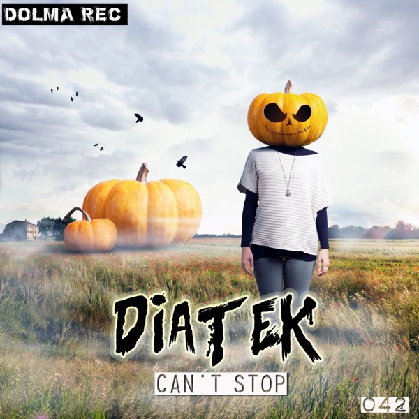 Can't Stop - Single