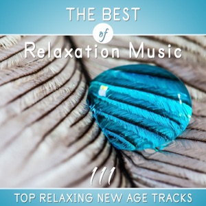 The Best of Relaxation Music: 111 Top Relaxing New Age Tracks, Meditation and Deep Sleep, Calming Nature Sounds, Tranquility & Total Relax