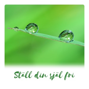 Ställ din själ fri: Ren medvetenhet, mindful fred, var förändringen, meditativ resa, karmisk frisättning, rening av mantror