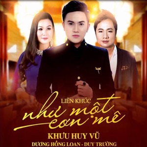 Như Một Cơn Mê