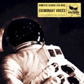 Cosmonaut Voices artwork