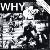 Why? artwork