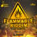 Ignite the World - Vybz Kartel