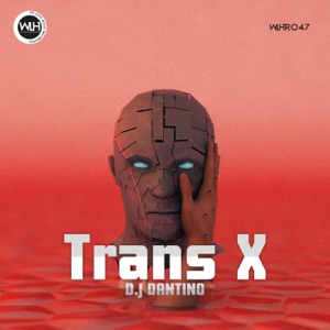 Trans X - Single